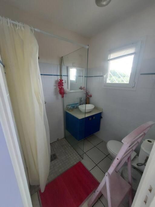 Grand Studio En Bas De Villa Avec Vue Sur Mer Au Carbet Le Carbet Ngoại thất bức ảnh